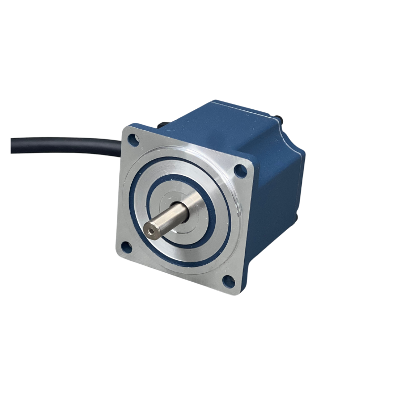 Высокоэффективность бесщеточного DC Electric Motor NEMA36 24 В/36 В/48 В/310 В 120 Вт 200 Вт мотор BLDC 