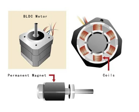 Appearance and internal structure of BLDC motor.png
