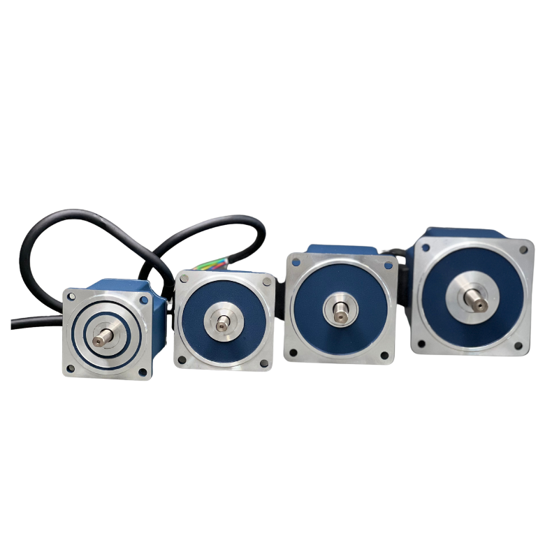 Высокоэффективность безмолвного тока DC Electric Motor NEMA32 24V/36V/48 В/310 В 60 Вт 120 Вт BLDC Двигатель 