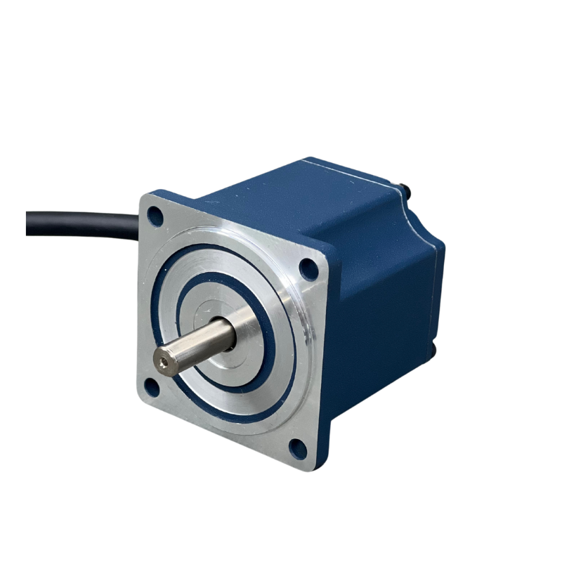 Высокоэффективность безмолвного тока DC Electric Motor NEMA32 24V/36V/48 В/310 В 60 Вт 120 Вт BLDC Двигатель 